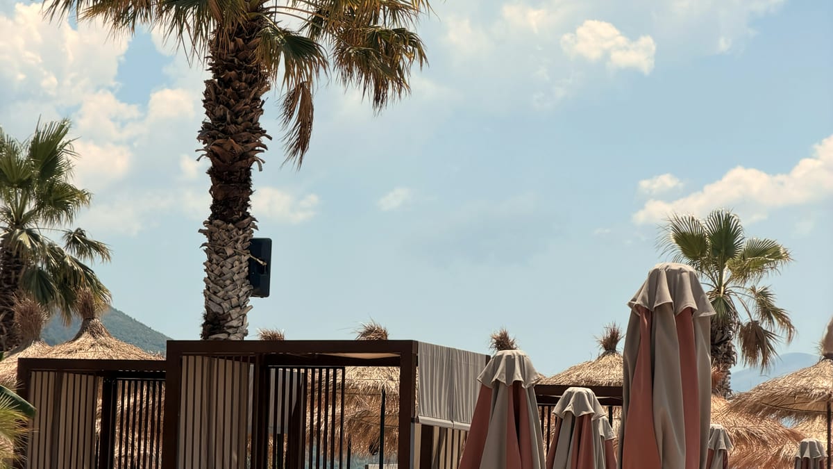 Beach-Club mit Palme und Sonnenliegen an einem Strand in Albanien