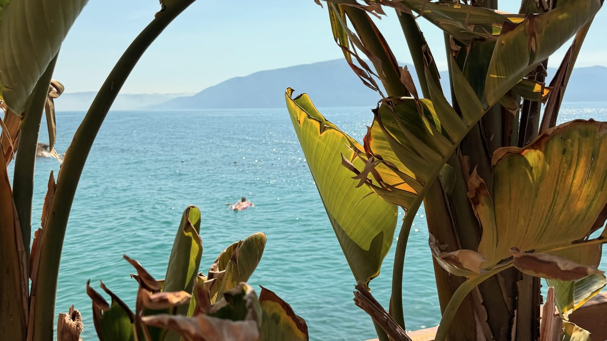 Türkisfarbenes Meer bei Vlora, gerahmt von tropischen Pflanzen