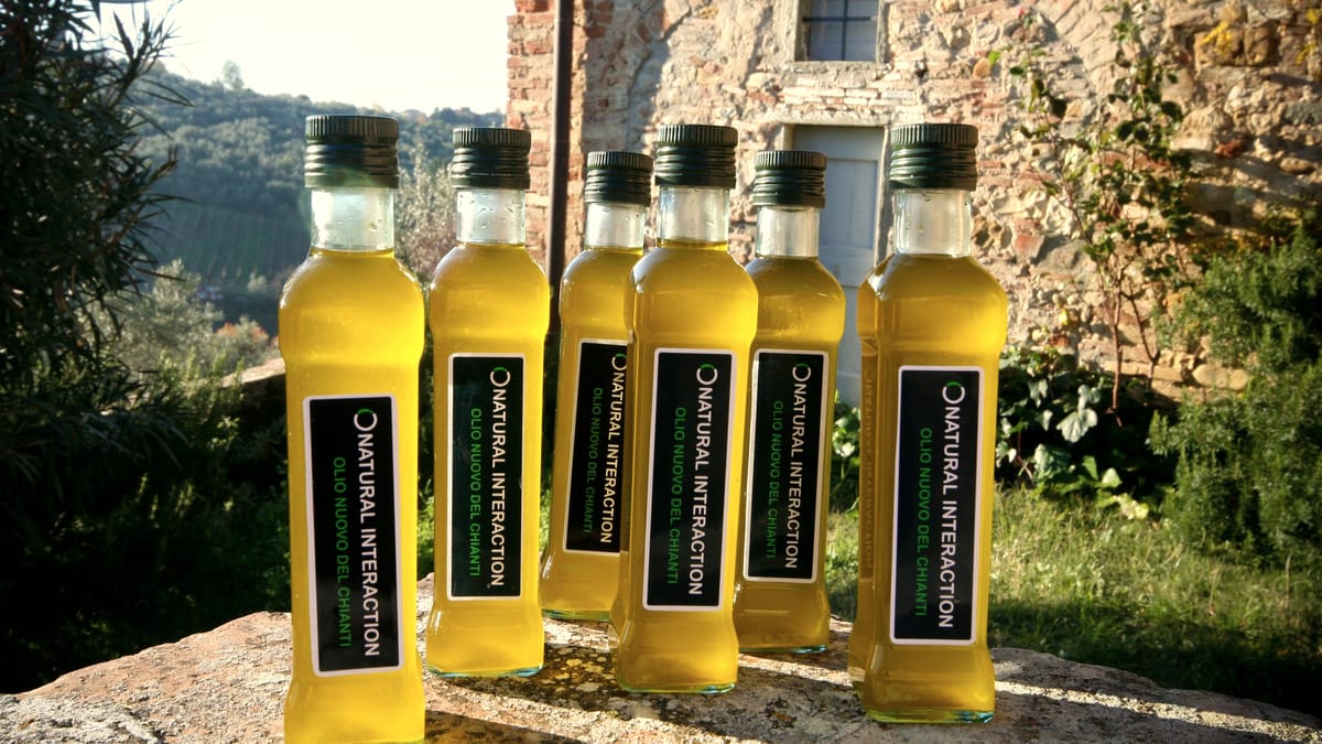 Mehrere Flaschen goldgrünes Olivenöl in der Sonne vor einem Olivenhain