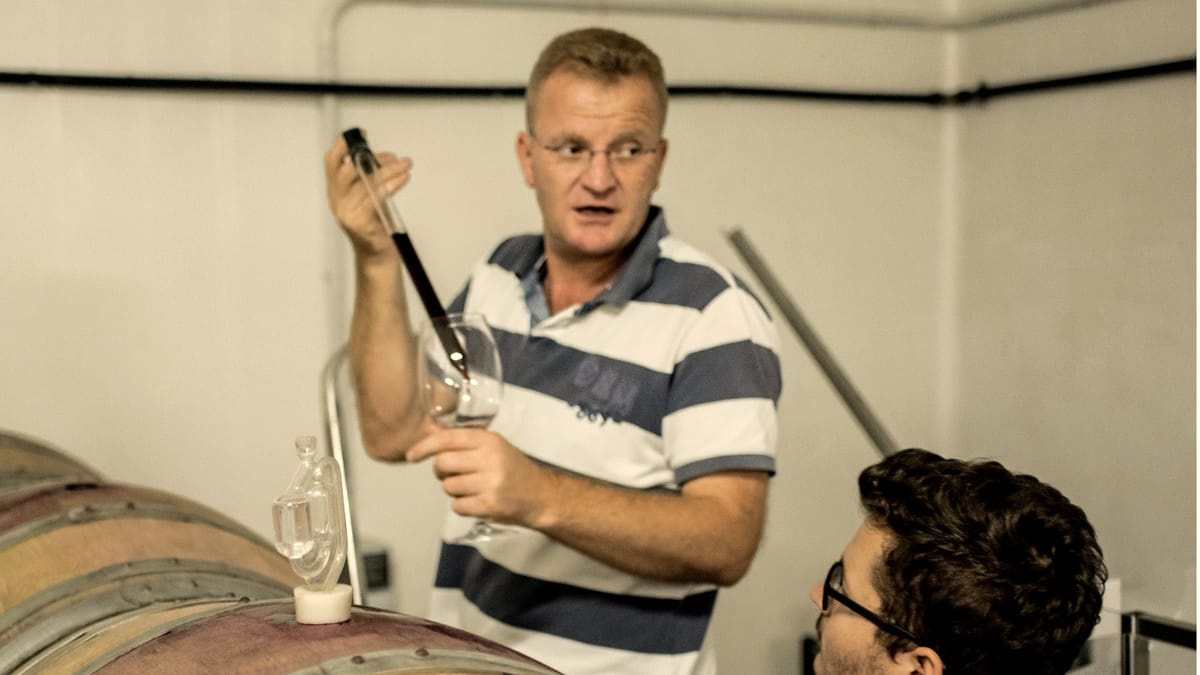 Ein Winzer von Tradita zieht mit dem Weinheber eine Fassprobe und gießt sie ins Glas